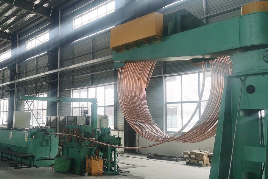 4. First Drawing.jpg